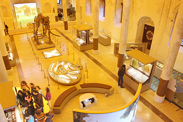 Doğa Tarihi Müzesi / BURDUR